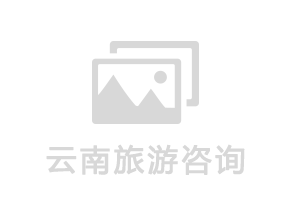瑞典乙